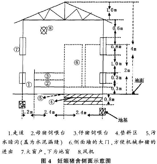 發(fā)酵床養(yǎng)豬對(duì)豬舍的要求及建設(shè)