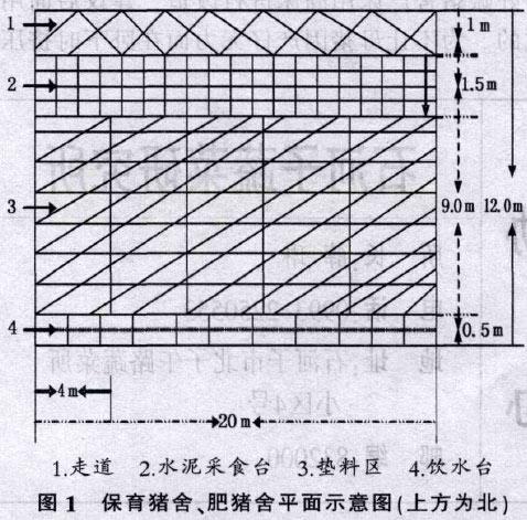 發(fā)酵床養(yǎng)豬對(duì)豬舍的要求及建設(shè)