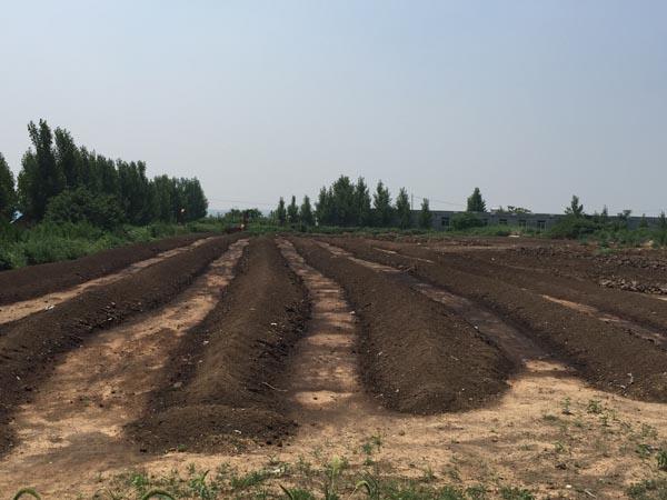 生物有機(jī)肥介紹及與農(nóng)家肥的區(qū)別