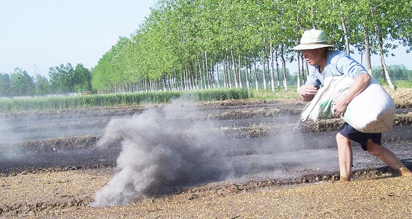 鉀肥是什么肥料，鉀肥的種類有哪些？