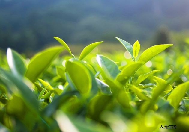 微生物菌劑為什么價格這么高還受到大家喜歡？