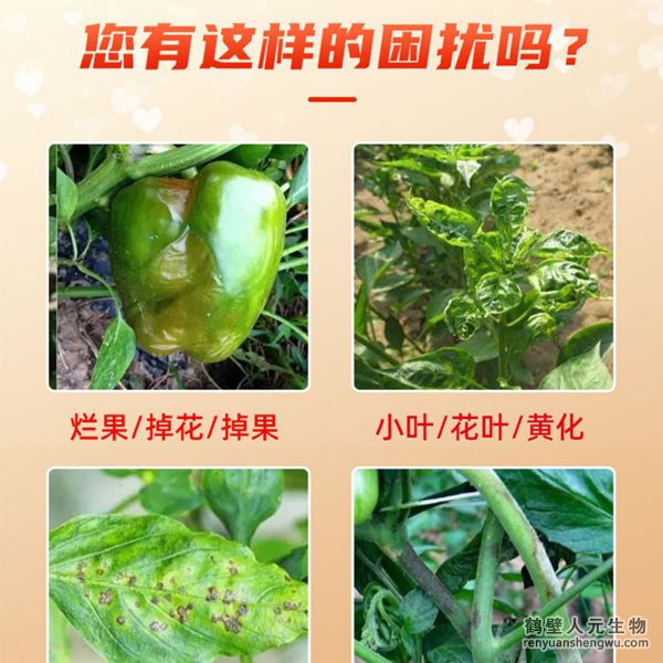 多氨豆粕菌肥系列辣椒專用肥適用范圍：適用于櫻桃椒、朝天椒、燈籠椒、羊角椒、線椒、彩椒、甜柿椒、牛角椒等辣椒類品種。