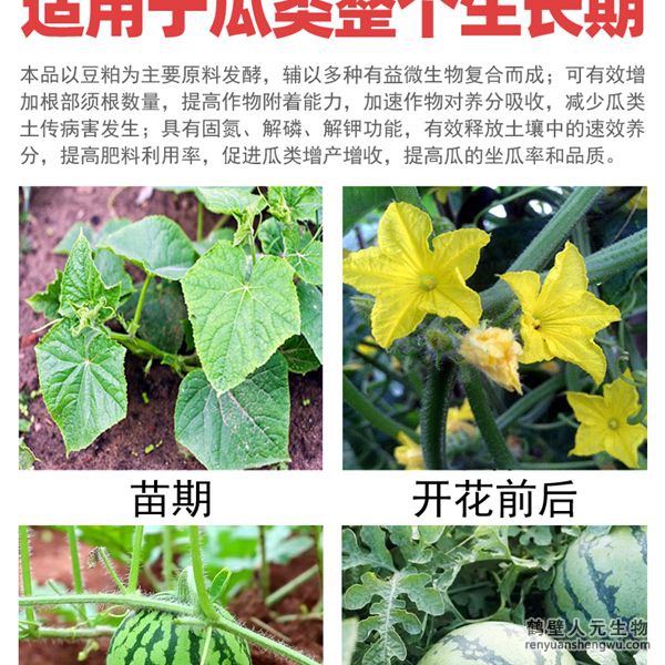 多氨豆粕菌肥系列瓜類專用肥適用范圍：適用于西瓜、甜瓜、哈密瓜等瓜類作物。