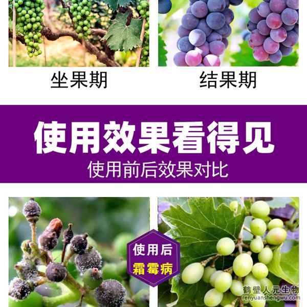 多氨豆粕菌肥系列葡萄專用肥使用效果圖1